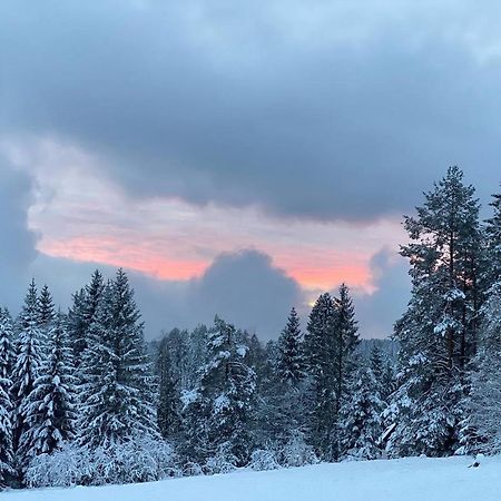 Schwarzwald Wohnung Kniebis Freudenstadt Esterno foto