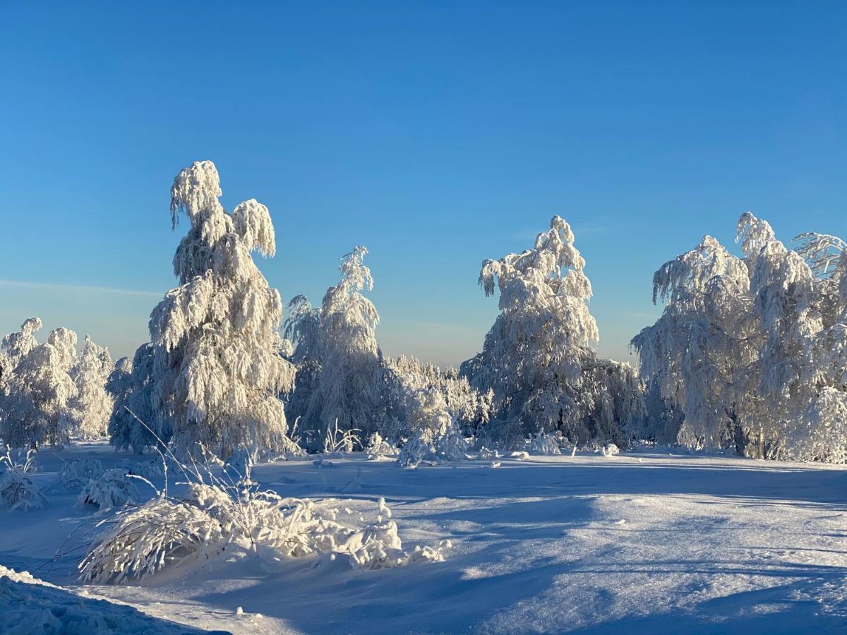 Schwarzwald Wohnung Kniebis Freudenstadt Esterno foto