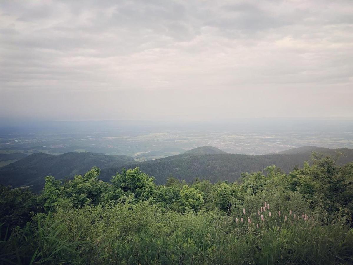 Schwarzwald Wohnung Kniebis Freudenstadt Esterno foto