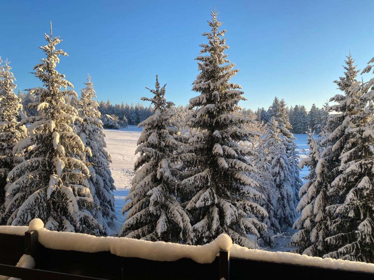 Schwarzwald Wohnung Kniebis Freudenstadt Esterno foto
