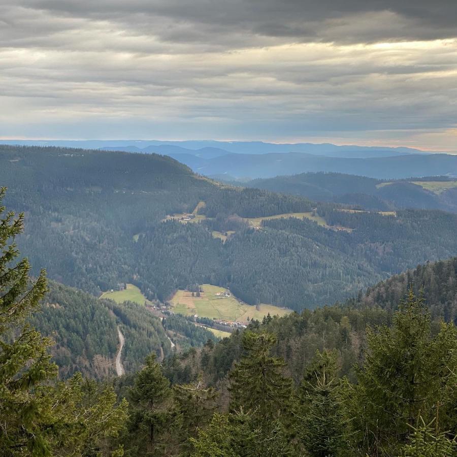 Schwarzwald Wohnung Kniebis Freudenstadt Esterno foto